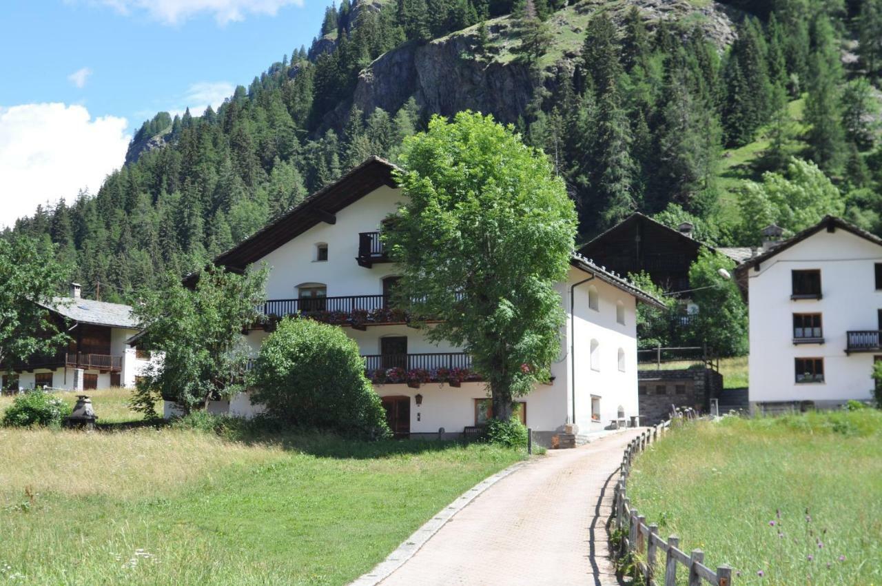 Flora Alpina Apartments-Residenza Verdebjo グレッソネイ・サイント・ジェアン エクステリア 写真