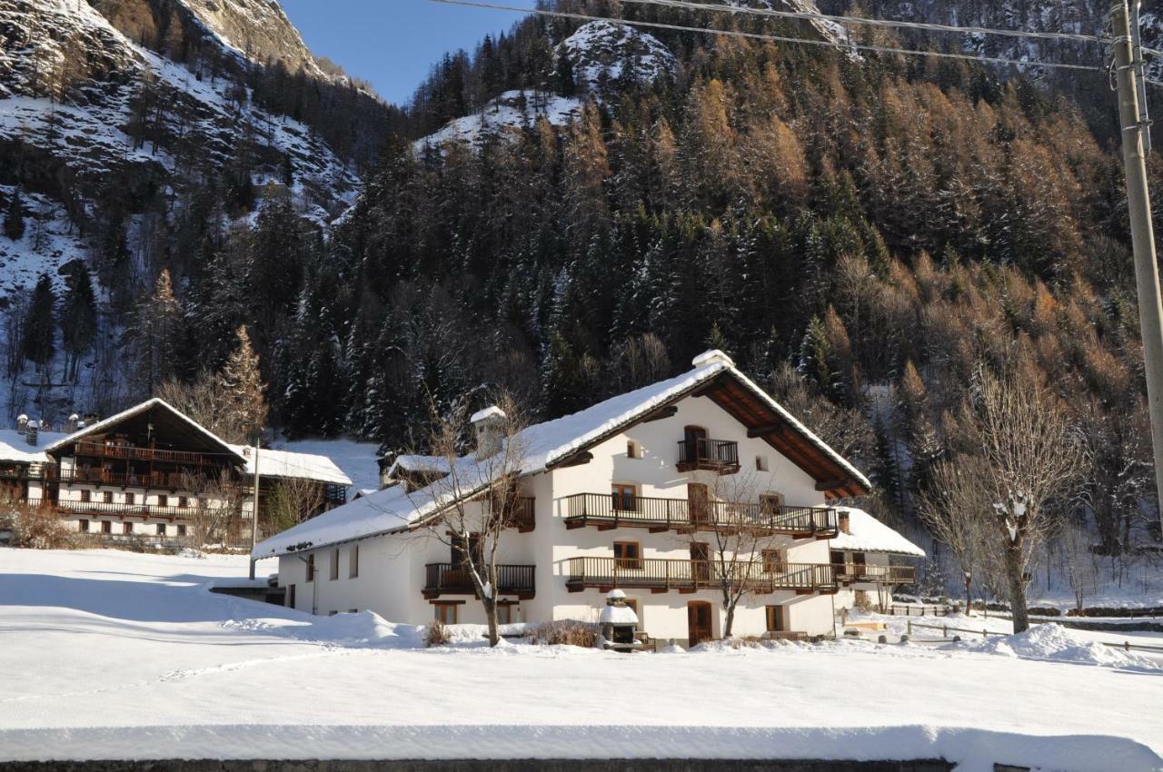 Flora Alpina Apartments-Residenza Verdebjo グレッソネイ・サイント・ジェアン エクステリア 写真
